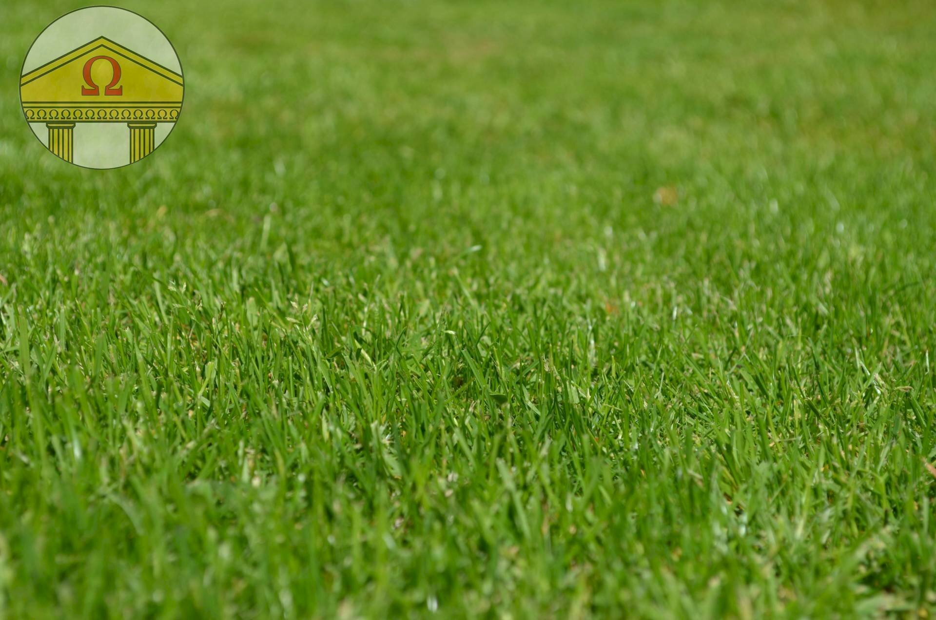 Foto 1 - Terreno edificabile Treviso - foto 1