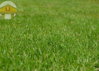 Foto 1 - Terreno edificabile Treviso - foto 1