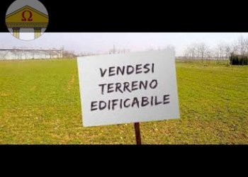 Foto 1 - Terreno edificabile Arcade - foto 1