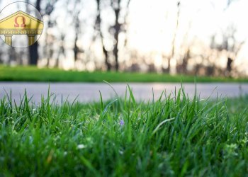 Foto 1 - Terreno edificabile Breda di Piave - foto 1