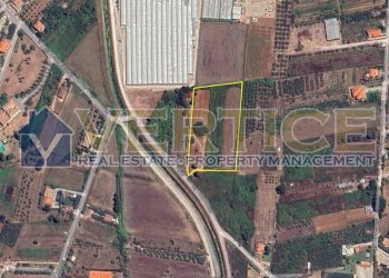 Foto 1 - Terreno agricolo Via Ponte Perito, Fondi - foto 1