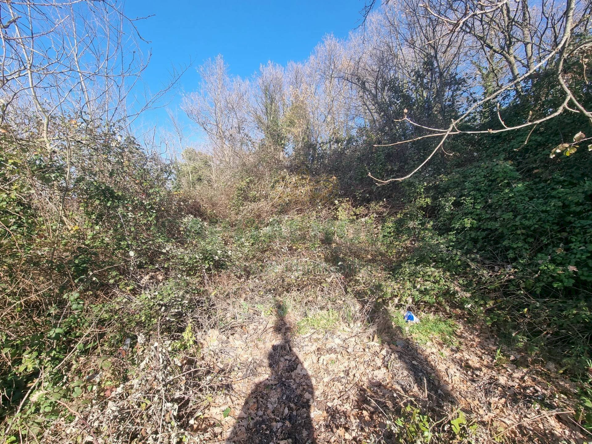 Foto 1 - Terreno agricolo Via sp 18, Montoro - foto 1