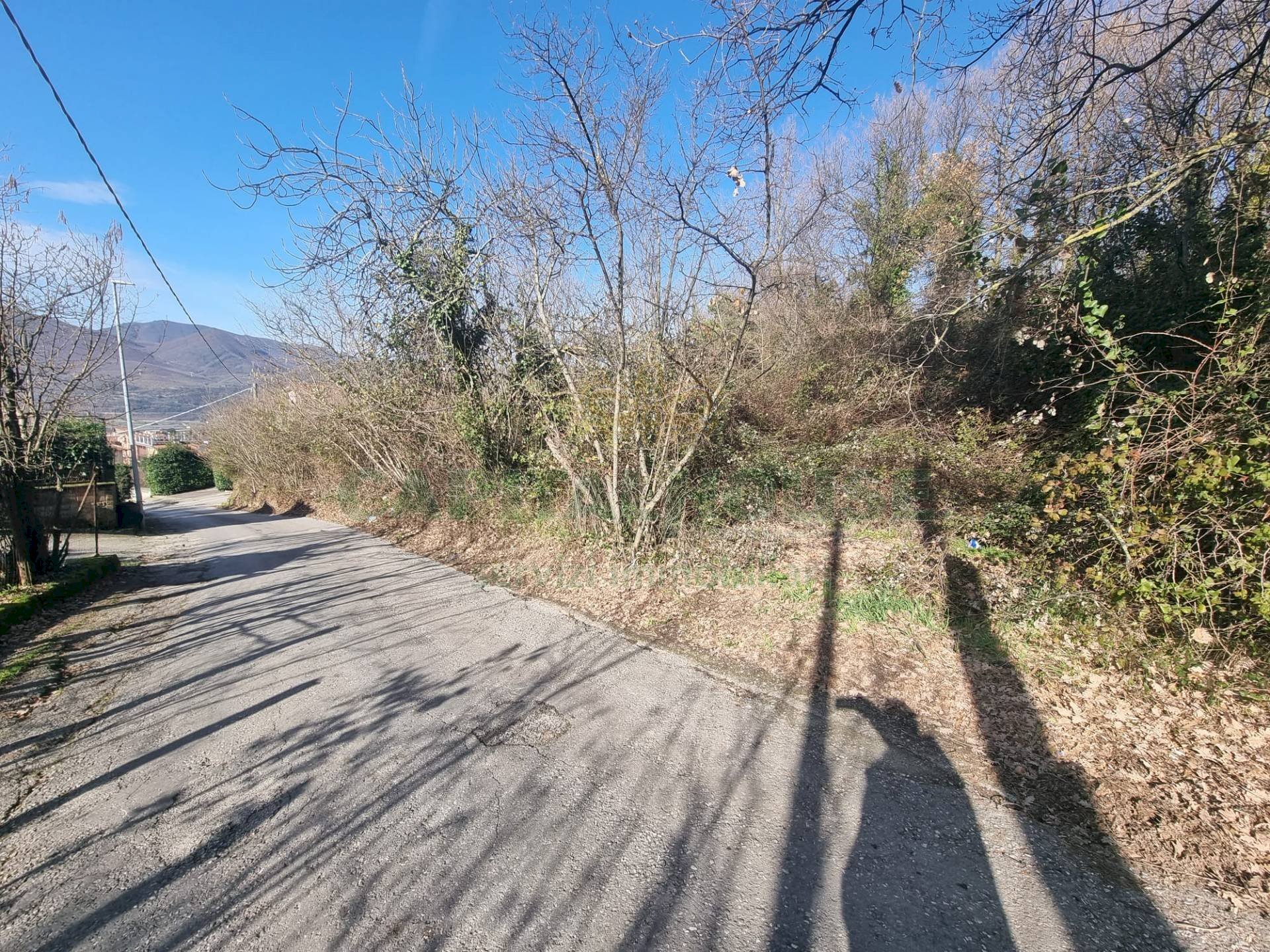 Foto 2 - Terreno agricolo Via sp 18, Montoro - foto 2