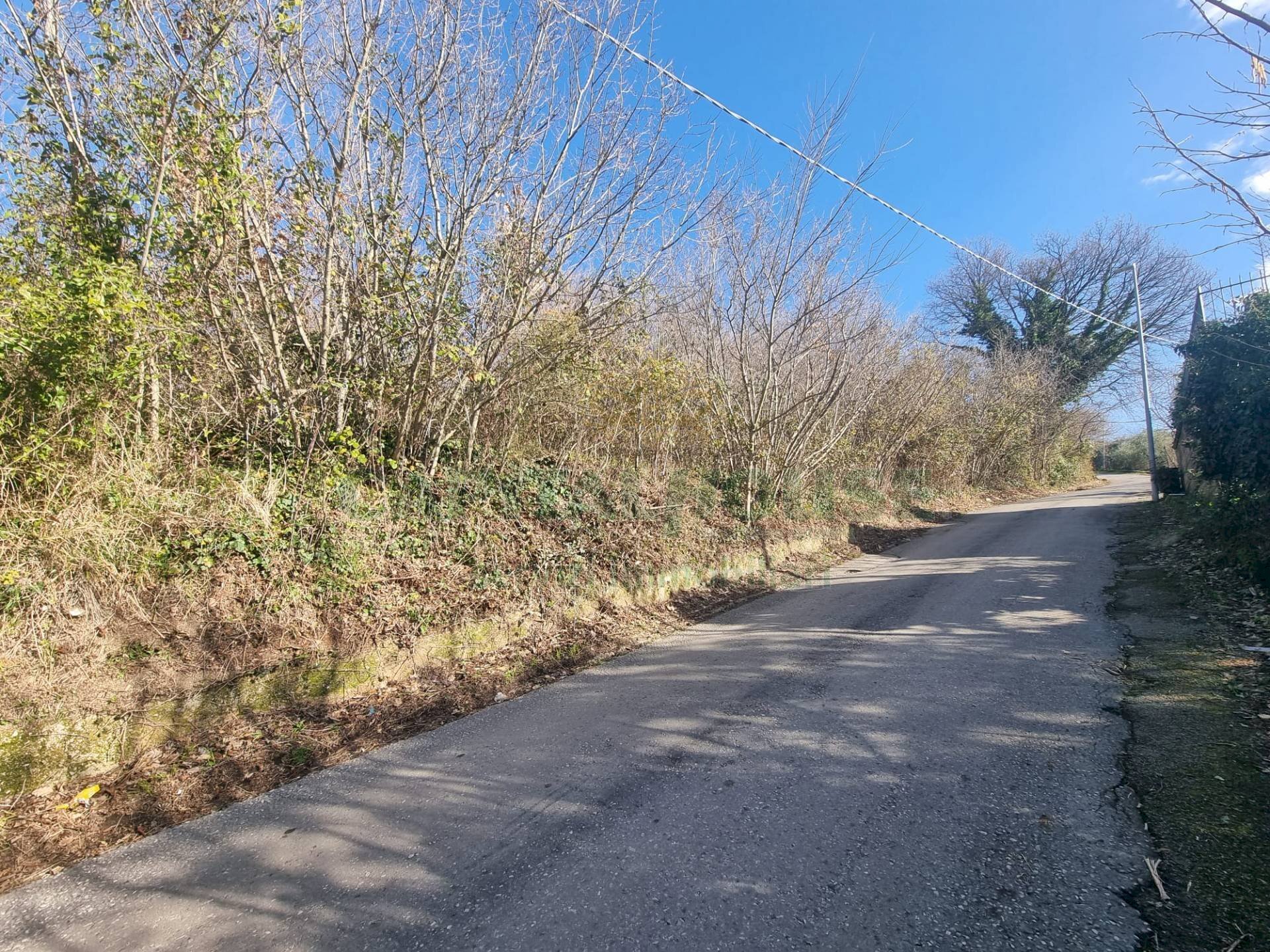 Foto 3 - Terreno agricolo Via sp 18, Montoro - foto 3