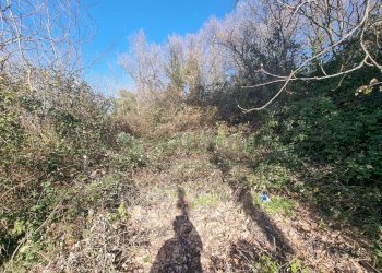 Foto 1 - Terreno agricolo Via sp 18, Montoro - foto 1