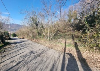 Foto 2 - Terreno agricolo Via sp 18, Montoro - foto 2