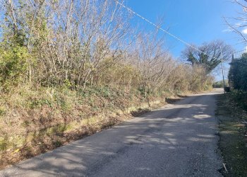 Foto 3 - Terreno agricolo Via sp 18, Montoro - foto 3