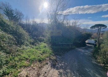 Foto 4 - Terreno agricolo Via sp 18, Montoro - foto 4