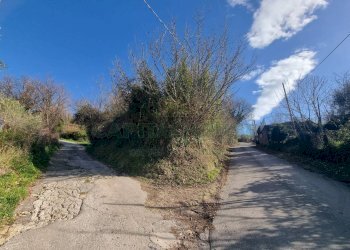 Foto 5 - Terreno agricolo Via sp 18, Montoro - foto 5