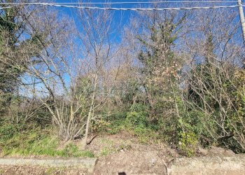 Foto 6 - Terreno agricolo Via sp 18, Montoro - foto 6