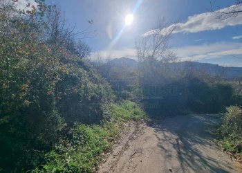 Foto 7 - Terreno agricolo Via sp 18, Montoro - foto 7