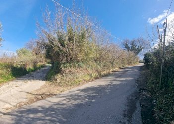 Foto 8 - Terreno agricolo Via sp 18, Montoro - foto 8