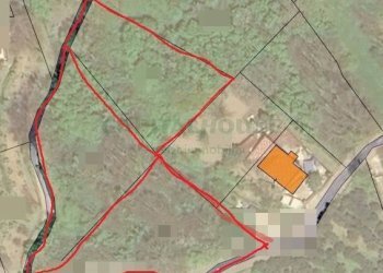 Foto 9 - Terreno agricolo Via sp 18, Montoro - foto 9