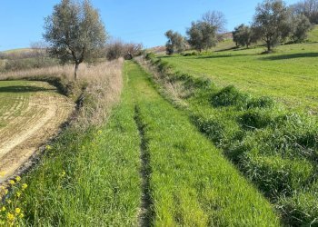 Foto 8 - Rustico Via Domenico Collina
 
snc, Porto San Giorgio - foto 8