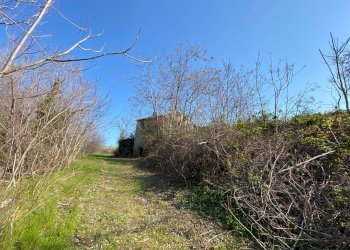 Foto 9 - Rustico Via Domenico Collina
 
snc, Porto San Giorgio - foto 9