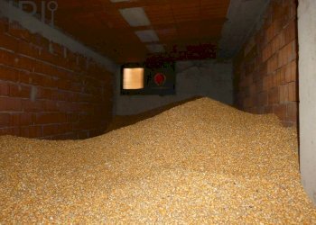 Foto 50 - Villa regione dotti, Terzo - foto 50