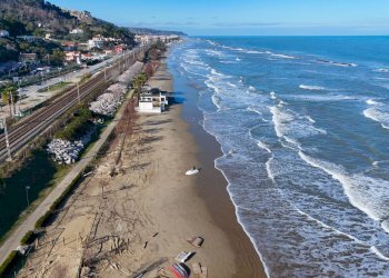 Foto 23 - Agricultural land Spiaggia
450+451, Cupra Marittima - photo 19