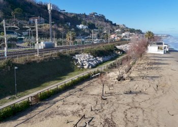 Foto 19 - Agricultural land Spiaggia
456+457+458, Cupra Marittima - photo 15