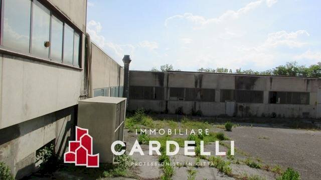 Foto 2 - Capannone Strada Provinciale Treiese
 
9/A, Treia - foto 2