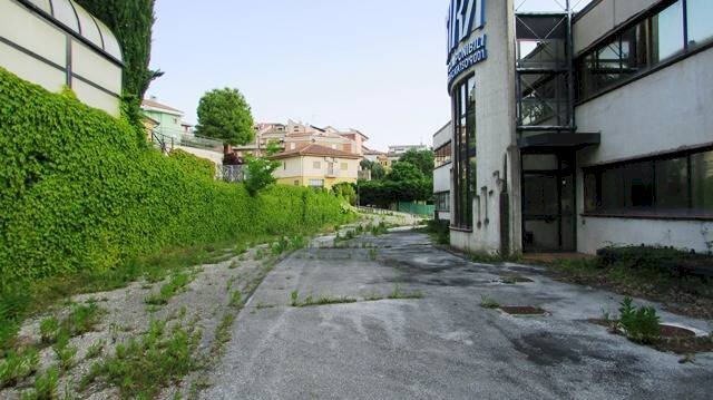Foto 3 - Capannone Strada Provinciale Treiese
9/A, Treia - foto 3