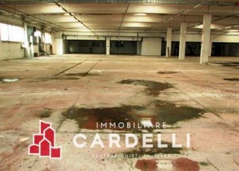 Foto 9 - Capannone Strada Provinciale Treiese
 
9/A, Treia - foto 9