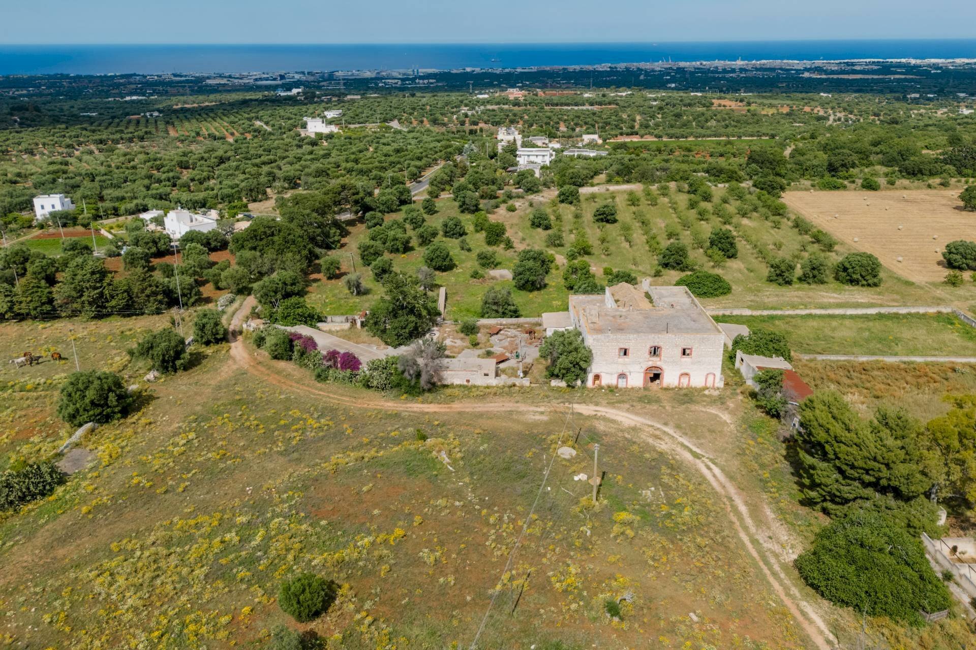 Foto 2 - Rustico Contrada San Vincenzo
Snc, Monopoli - foto 2