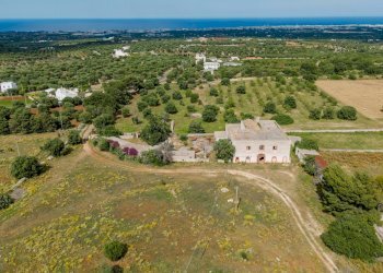 Foto 2 - Rustico Contrada San Vincenzo
 
Snc, Monopoli - foto 2