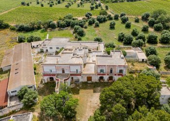 Foto 7 - Rustico Contrada San Vincenzo
 
Snc, Monopoli - foto 7