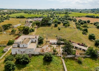 Foto 9 - Rustico Contrada San Vincenzo
 
Snc, Monopoli - foto 9