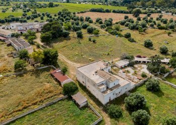 Foto 14 - Rustico Contrada San Vincenzo
 
Snc, Monopoli - foto 14