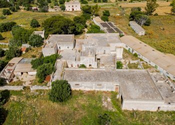 Foto 4 - Rustico Contrada San Vincenzo
 
Snc, Monopoli - foto 4