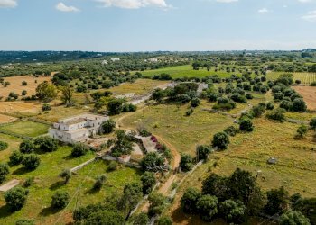 Foto 19 - Rustico Contrada San Vincenzo
 
Snc, Monopoli - foto 19