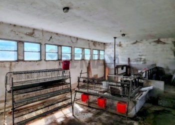 Dispensa di stoccaggio - Azienda agricola VIA DELLE TORBIERE, Viggiù - foto 14