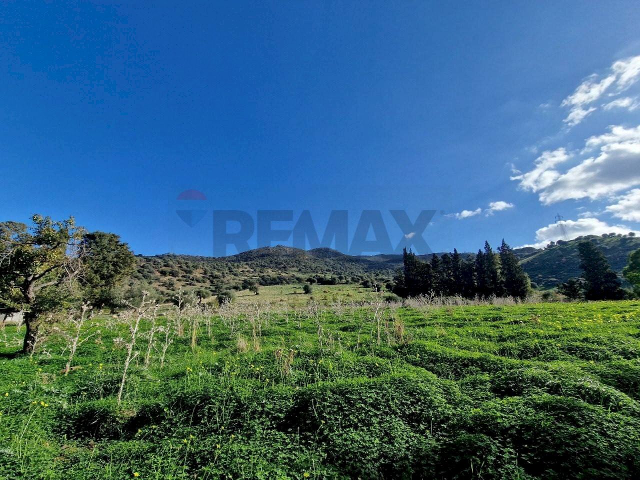 Vista delle montagne - Agricultural land contrada latomie martelluzzo, Castelvetrano - photo 1