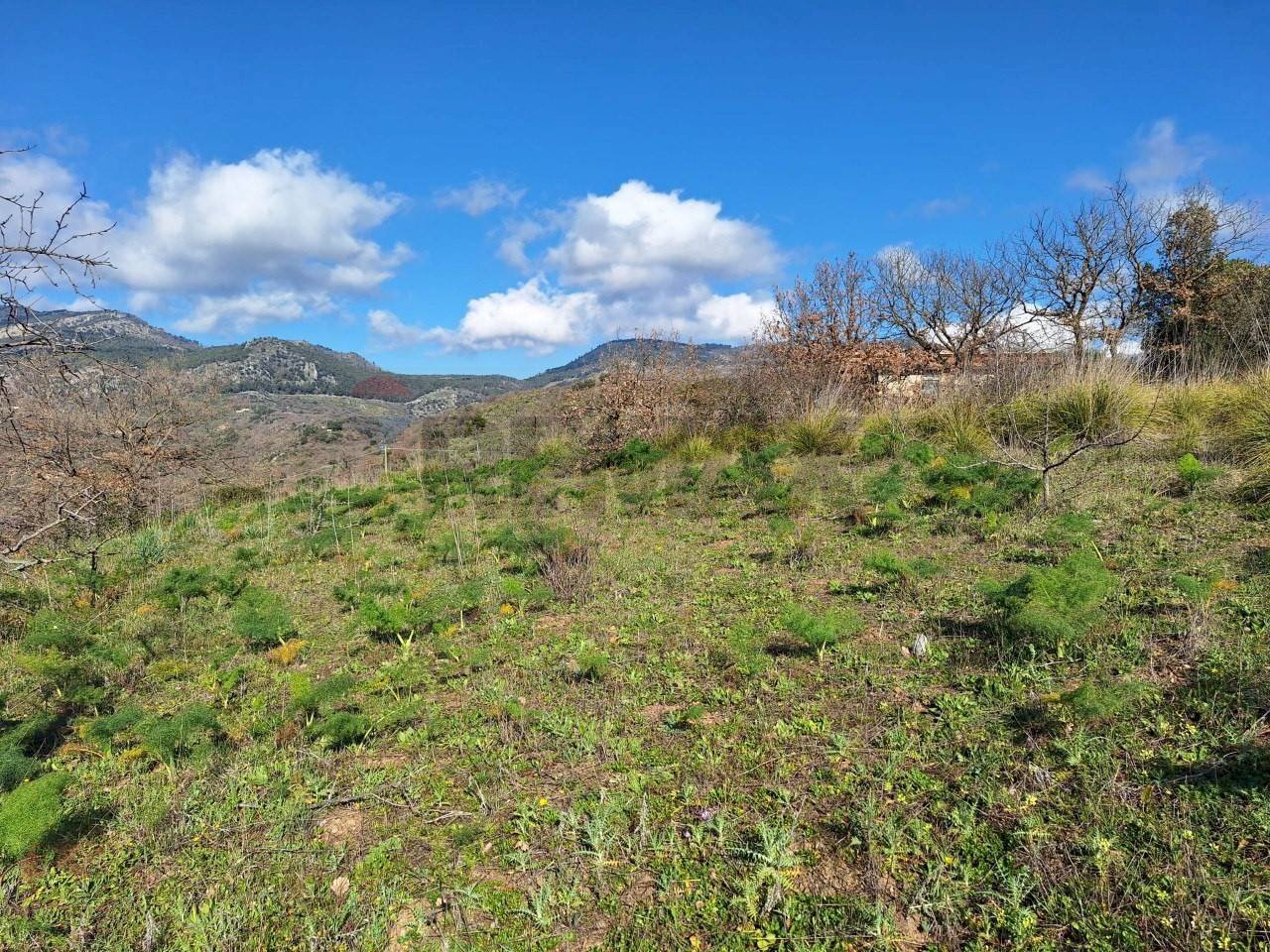 Vista delle montagne - Agricultural land contrada latomie martelluzzo, Castelvetrano - photo 2