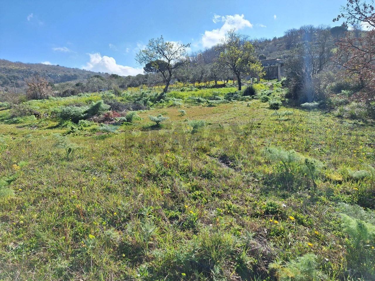 Vista delle montagne - Agricultural land contrada latomie martelluzzo, Castelvetrano - photo 3