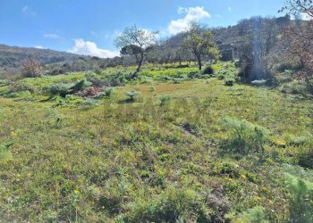 Vista delle montagne - Agricultural land contrada latomie martelluzzo, Castelvetrano - photo 3