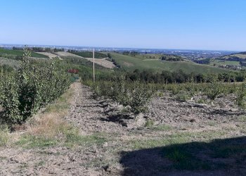 Vista delle montagne - Rustico Meldola - foto 8