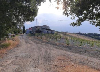 Vista delle montagne - Rustico Meldola - foto 9