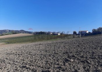 Vista delle montagne - Rustico Meldola - foto 10