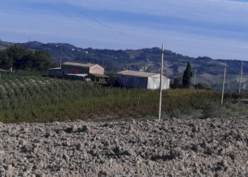 Vista delle montagne - Rustico Meldola - foto 11