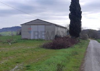 deposito attrezzi - Rustico Meldola - foto 12