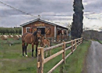 generata con i.a. - Rustico Meldola - foto 14