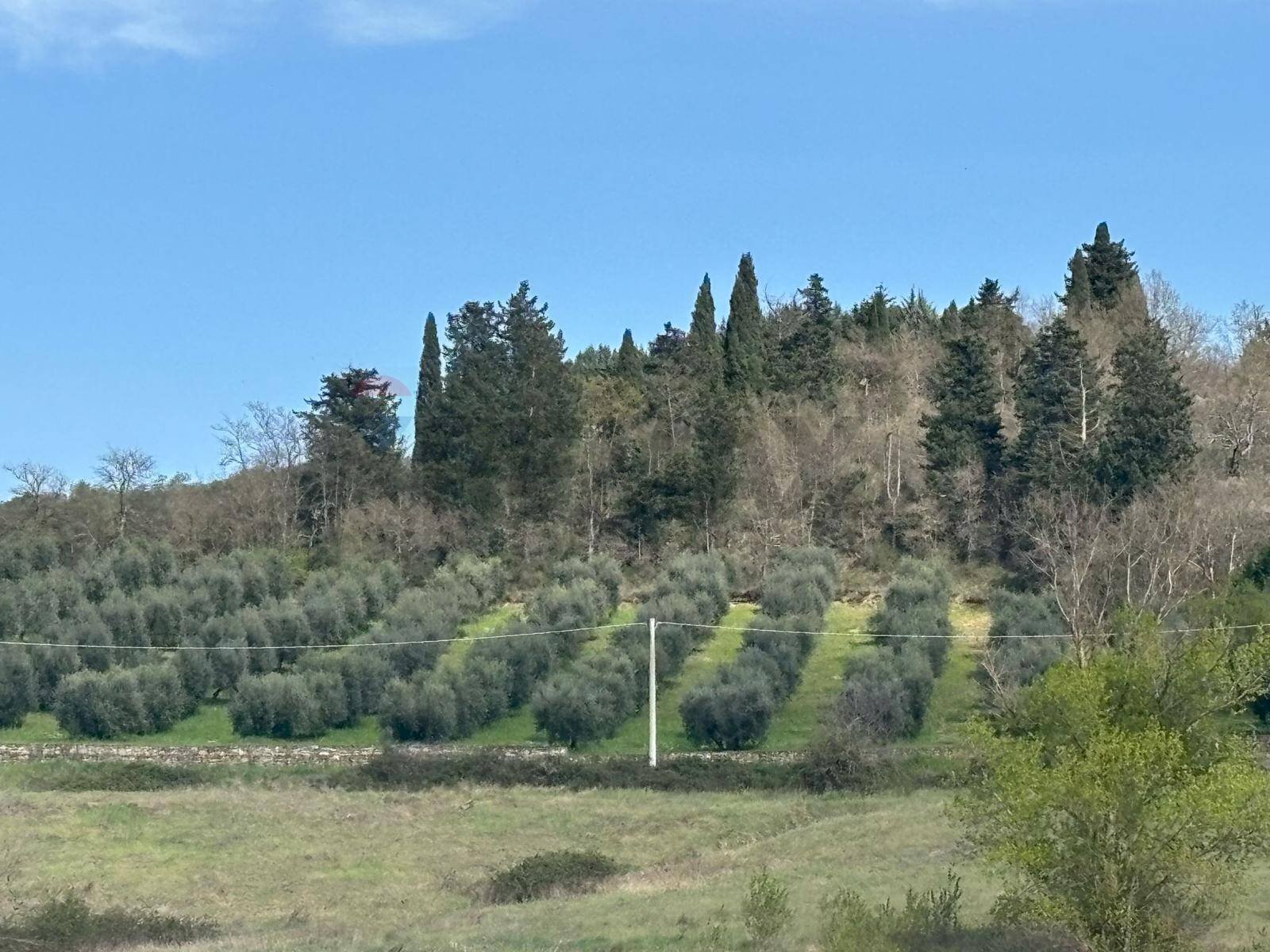 Non correlato - Terreno agricolo Via Emirati Arabi Uniti
 
snc, Perugia - foto 1