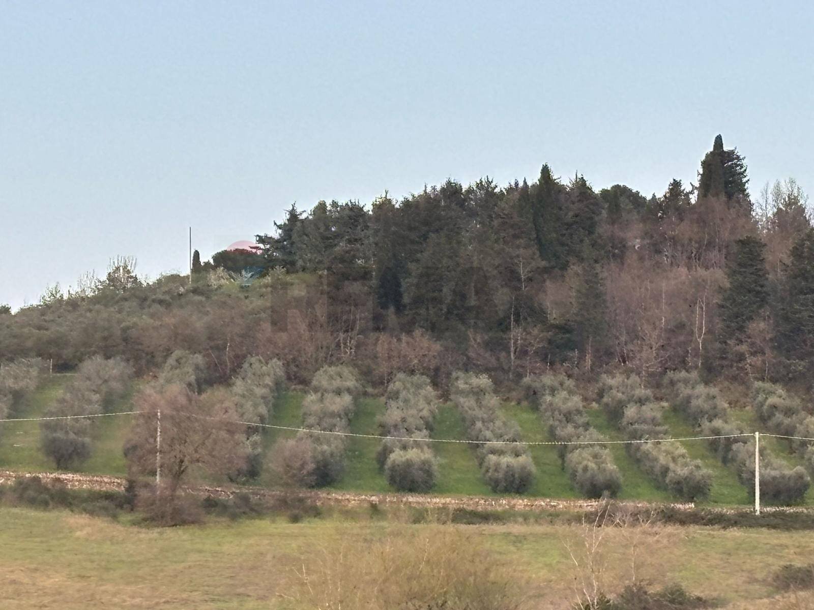 Non correlato - Terreno agricolo Via Emirati Arabi Uniti
 
snc, Perugia - foto 3