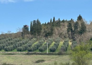 Non correlato - Agricultural land Via Emirati Arabi Uniti
 
snc, Perugia - photo 1