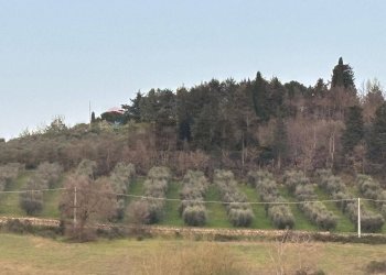Non correlato - Agricultural land Via Emirati Arabi Uniti
 
snc, Perugia - photo 3