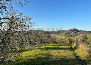Vista delle montagne - Agricultural land Via Emirati Arabi Uniti
 
snc, Perugia - photo 5