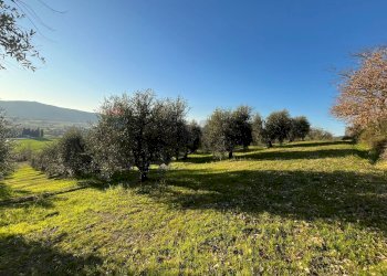 Giardino - Agricultural land Via Emirati Arabi Uniti
 
snc, Perugia - photo 8