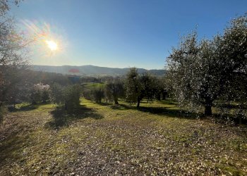 Vista delle montagne - Agricultural land Via Emirati Arabi Uniti
 
snc, Perugia - photo 10
